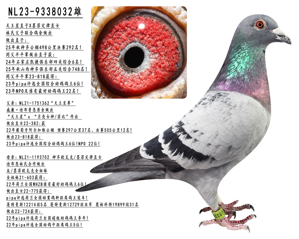 ������ֱ��Xī�ƶ���ֱŮ