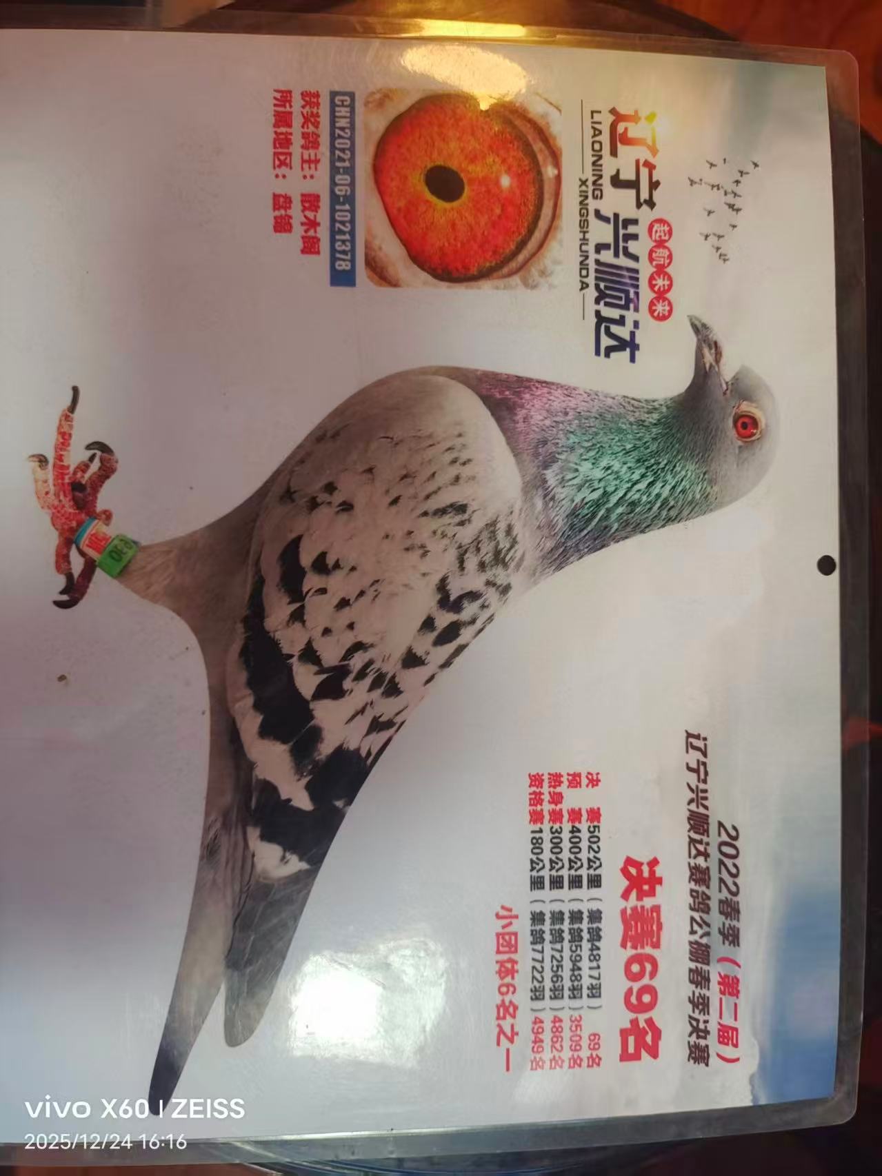 �������69��