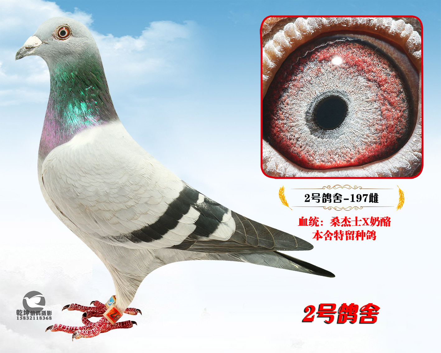 ��˽��197��