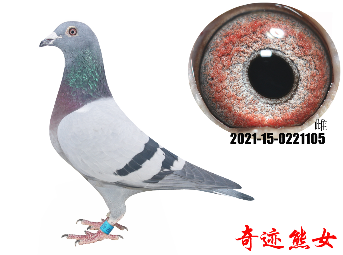 �漣��Ů�漣32����Ů����������Ů