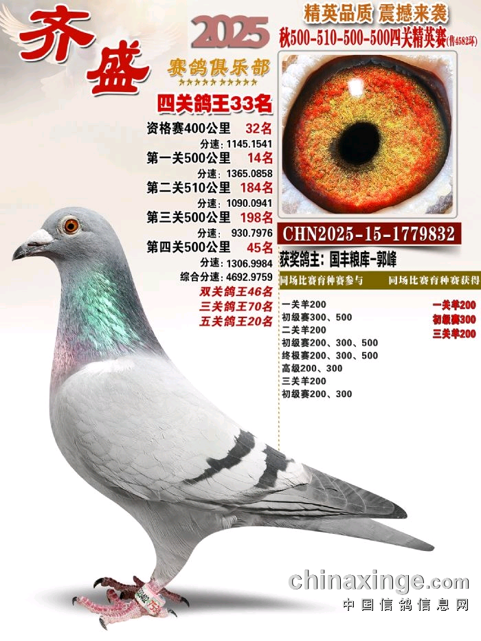 ��ʢ������ֲ��Ĺظ���33��