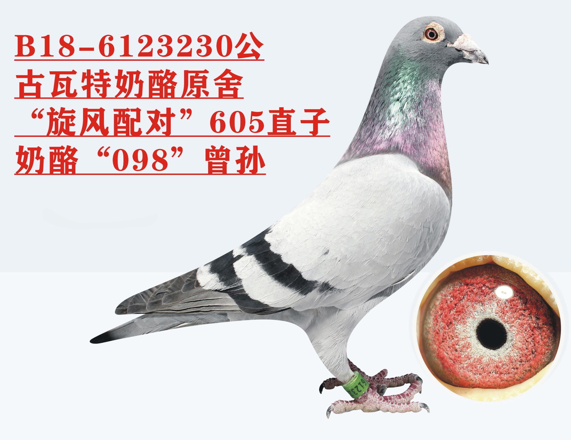 ������ԭ�ᡰ���硱605ֱ��+����098