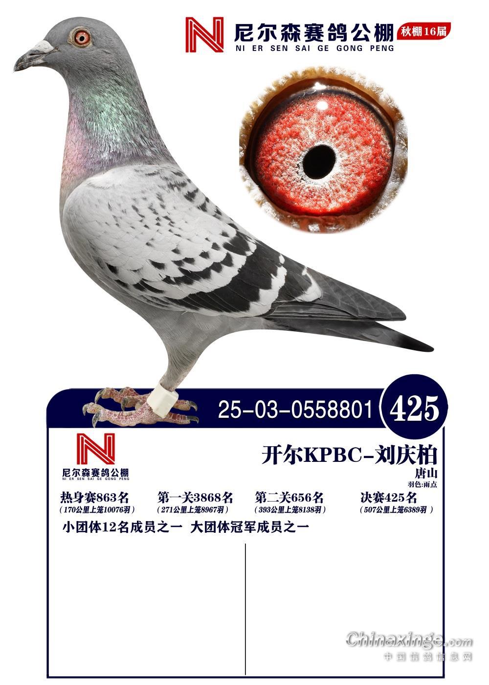 25������ɽ�᠖ɭ�Qِ425��