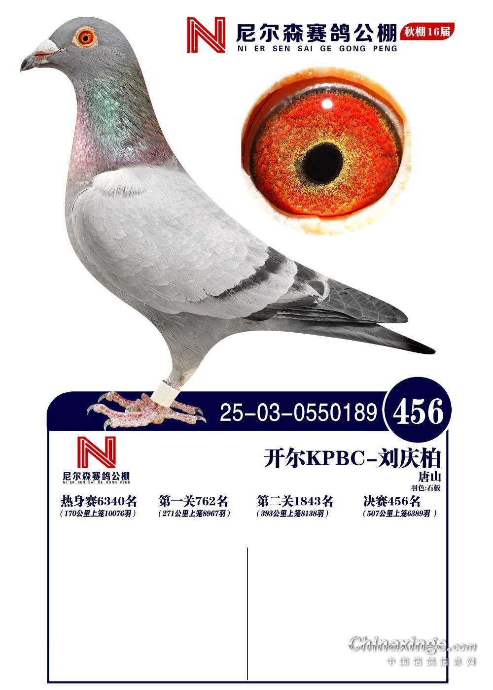 25���᠖ɭ�Qِ456��