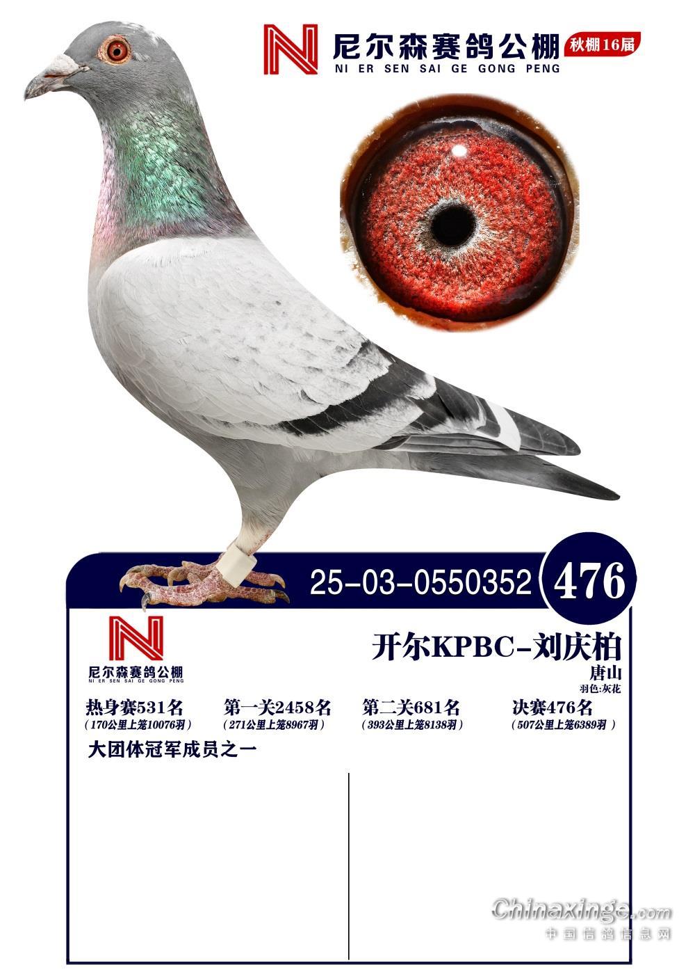 25������ɽ�᠖ɭ�Qِ476��