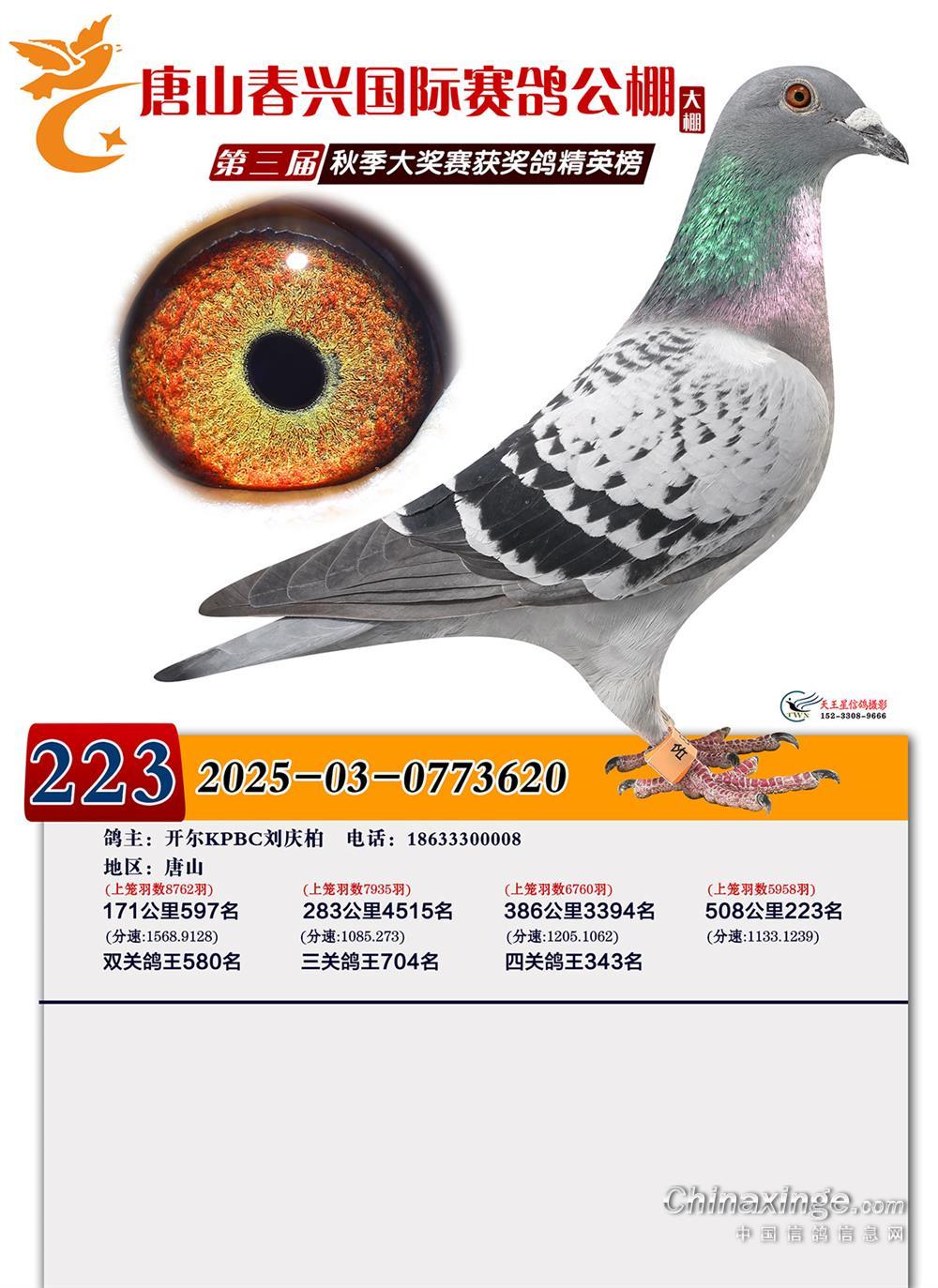 25������ɽ���d����Qِ223��