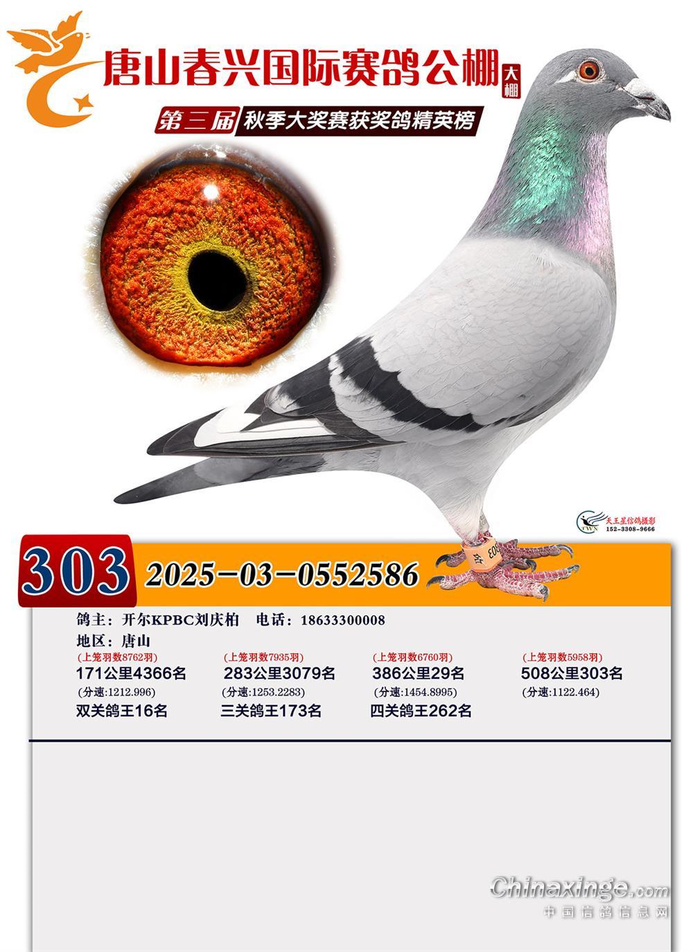 25�괺�d����Qِ303�����p�P(gu��n)����16