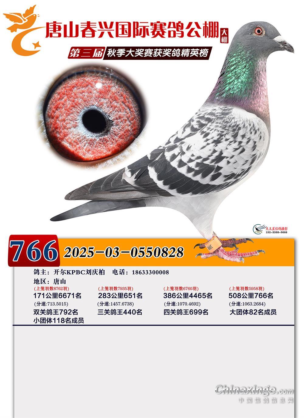 25������ɽ���˴���766��