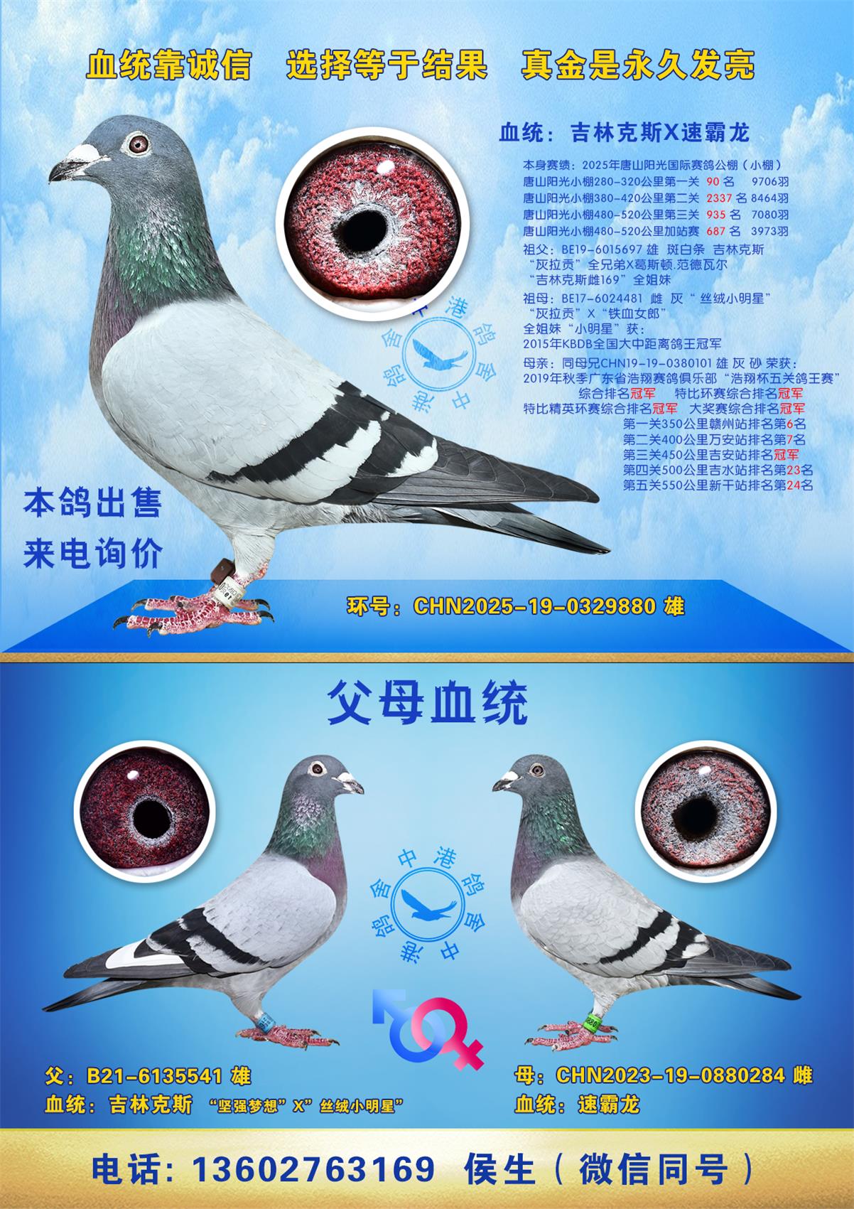 25����ɽ����������빫�С�