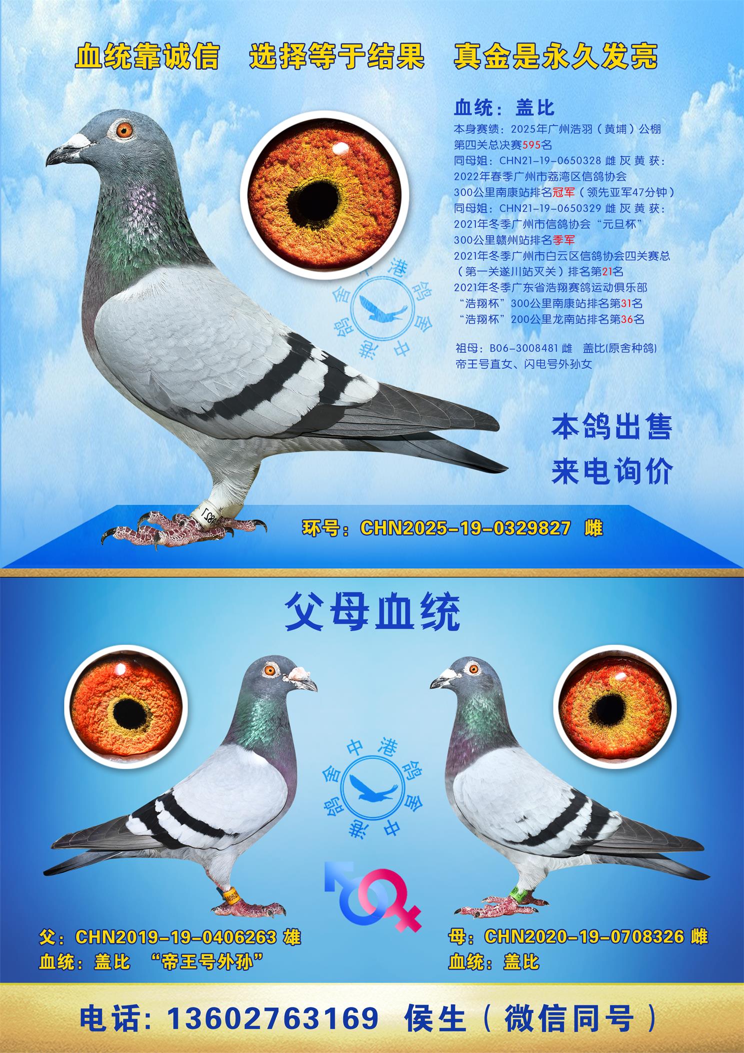 ���ݺ��𣨻��ң�������Ĺ��ܾ���595��