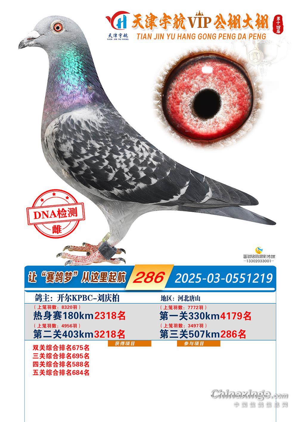 25���������������286��