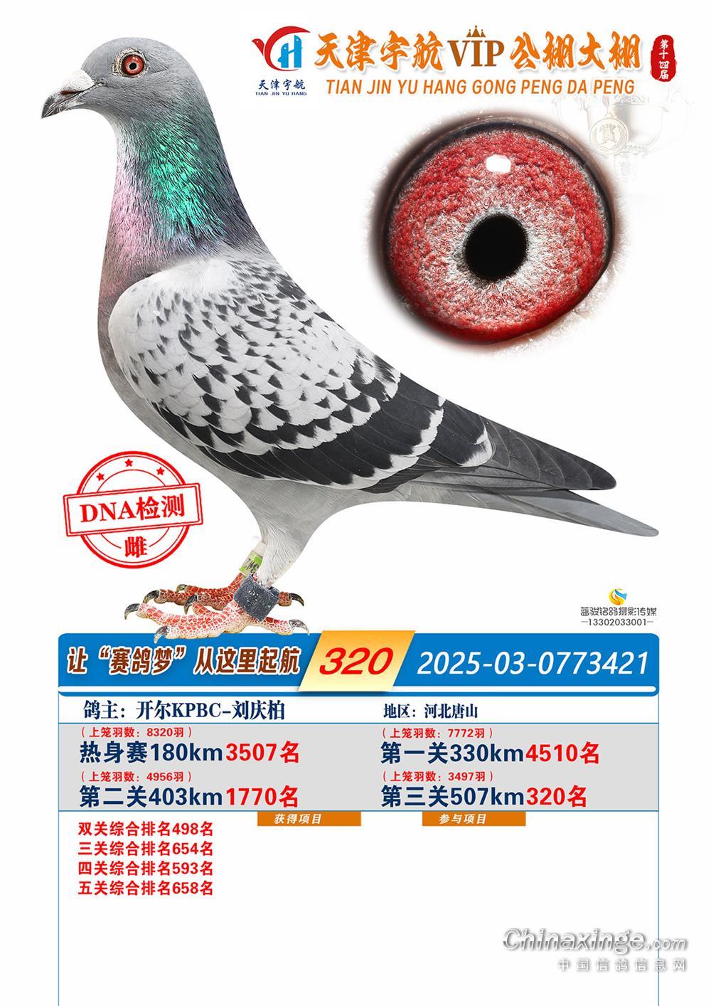 25���������������320��