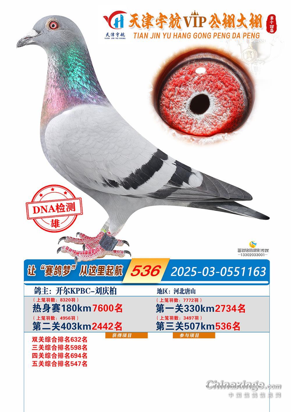 25���������������536��