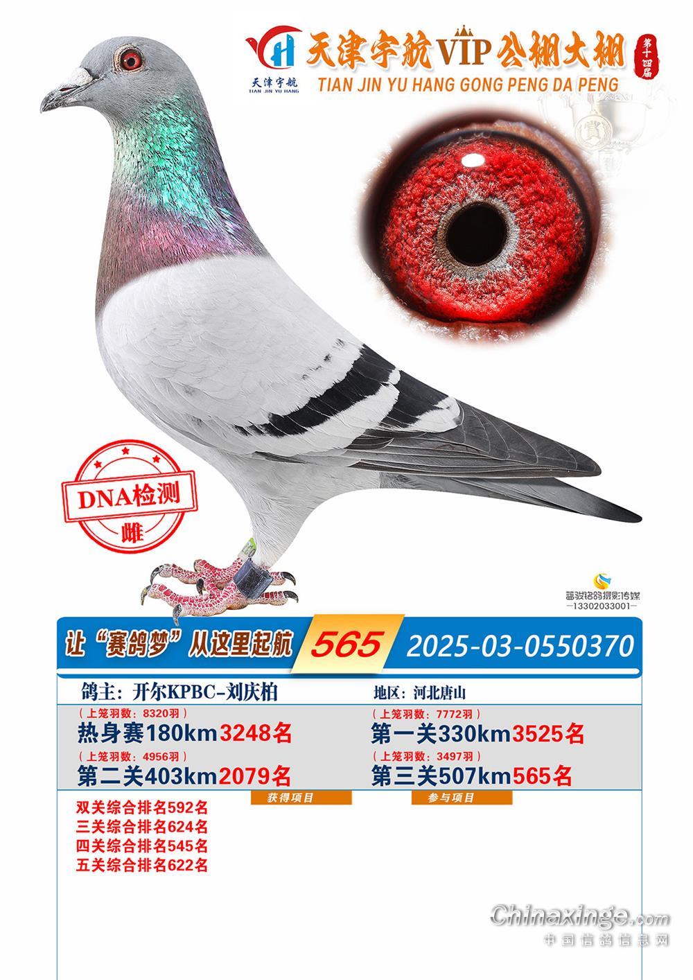 25���������������565��