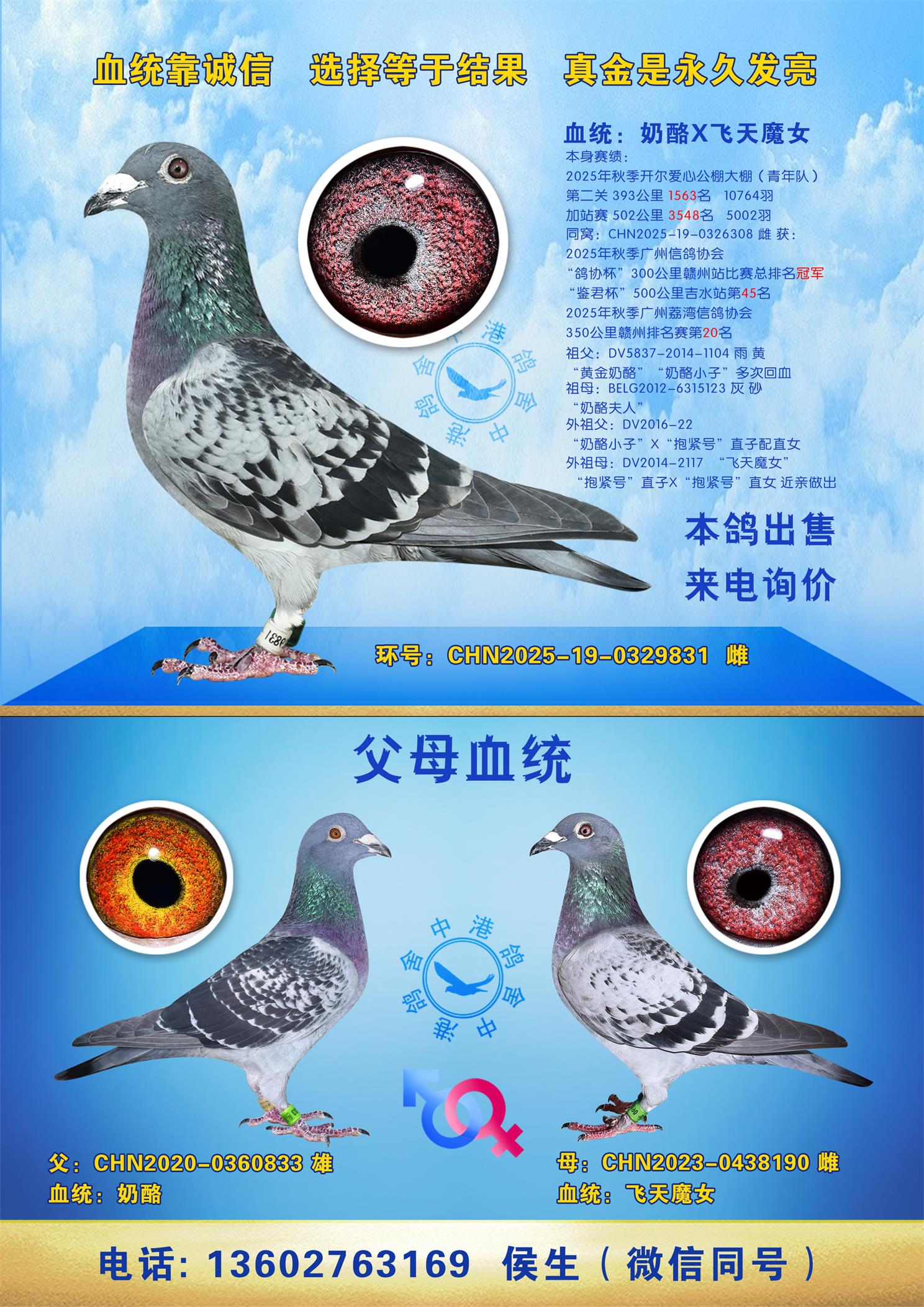 2025�꿪����������ӹ鳲��