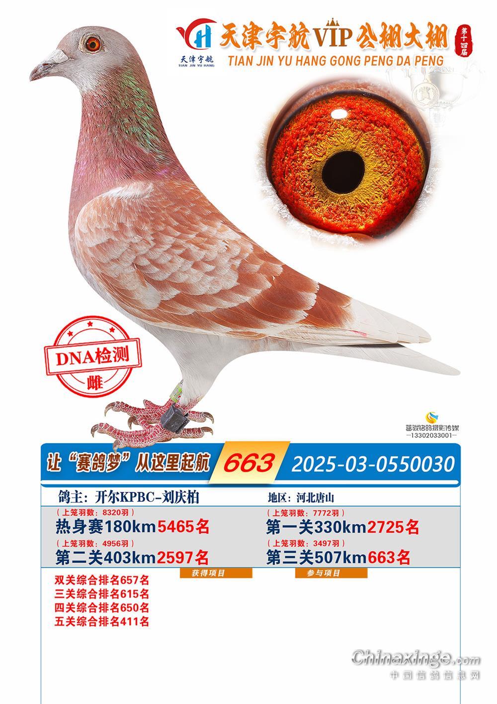 25���������������663��