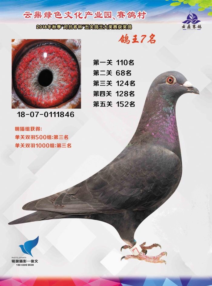 ���P(gu��n)����7λ