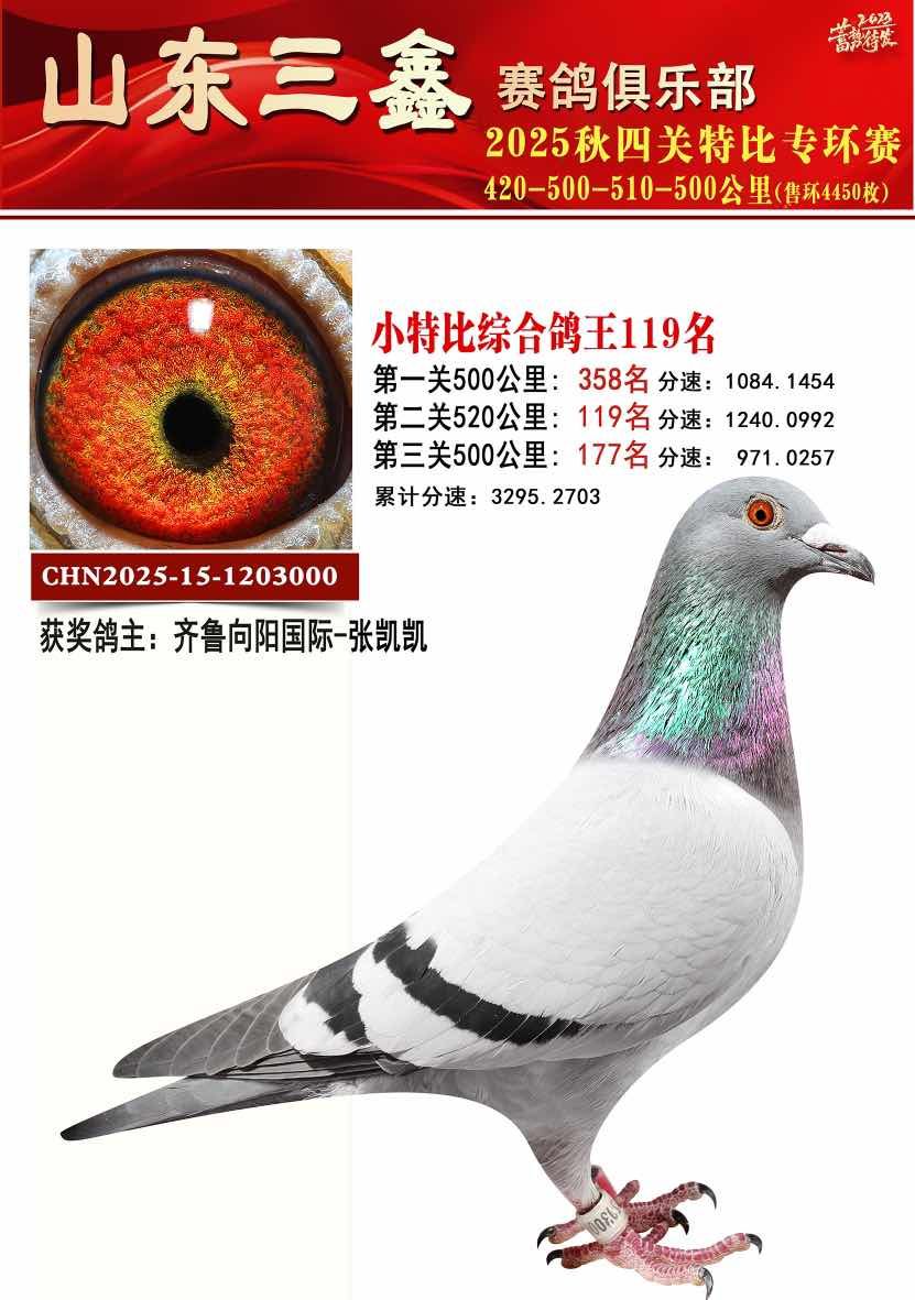 ���ظ���119��