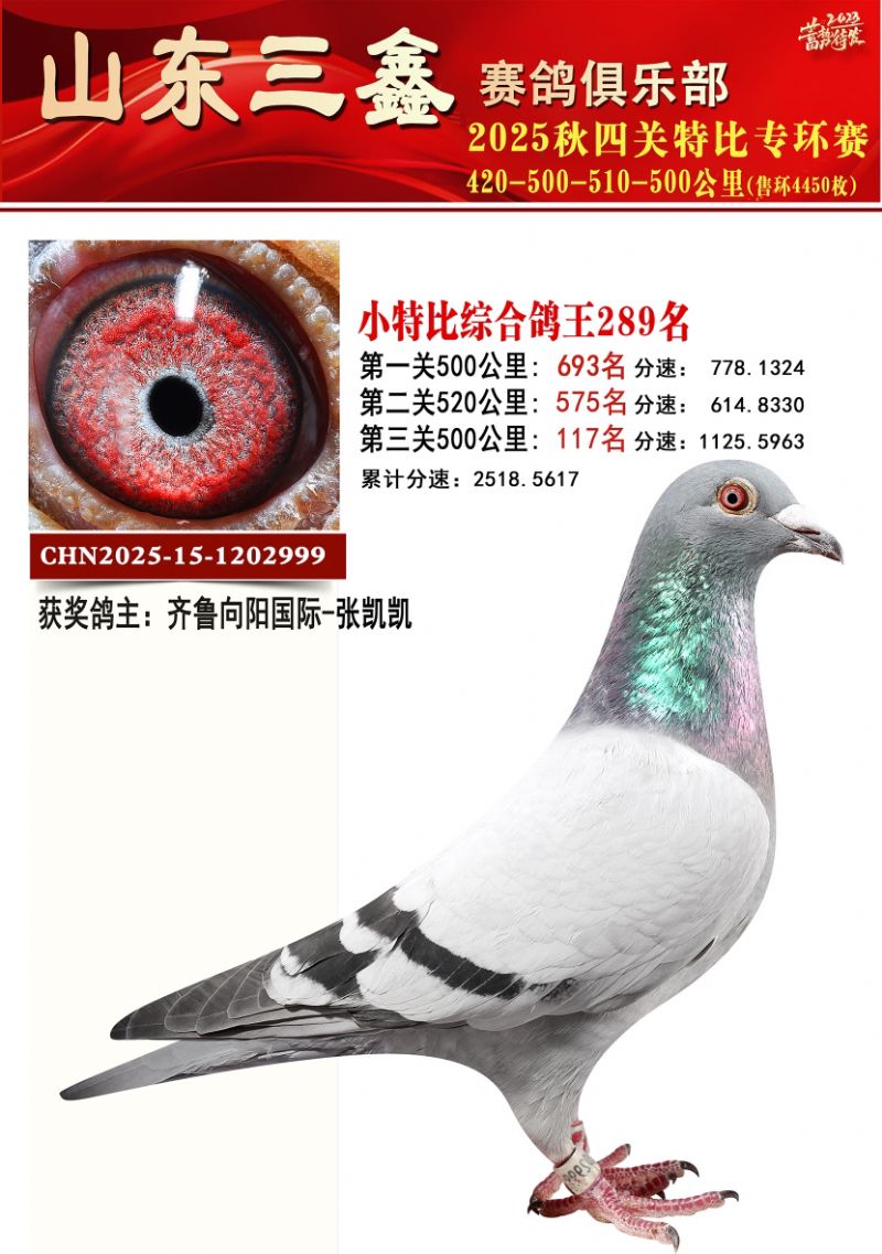 ���ظ���289��