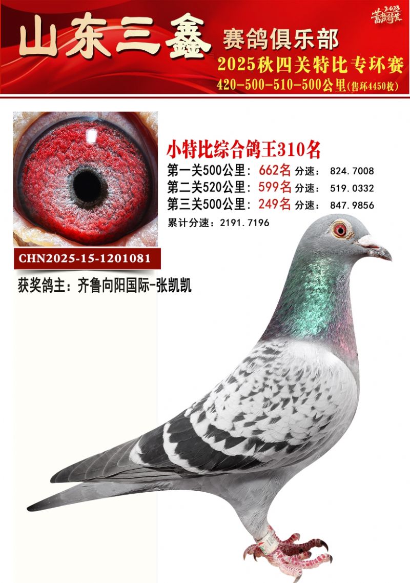 ���ظ���310��