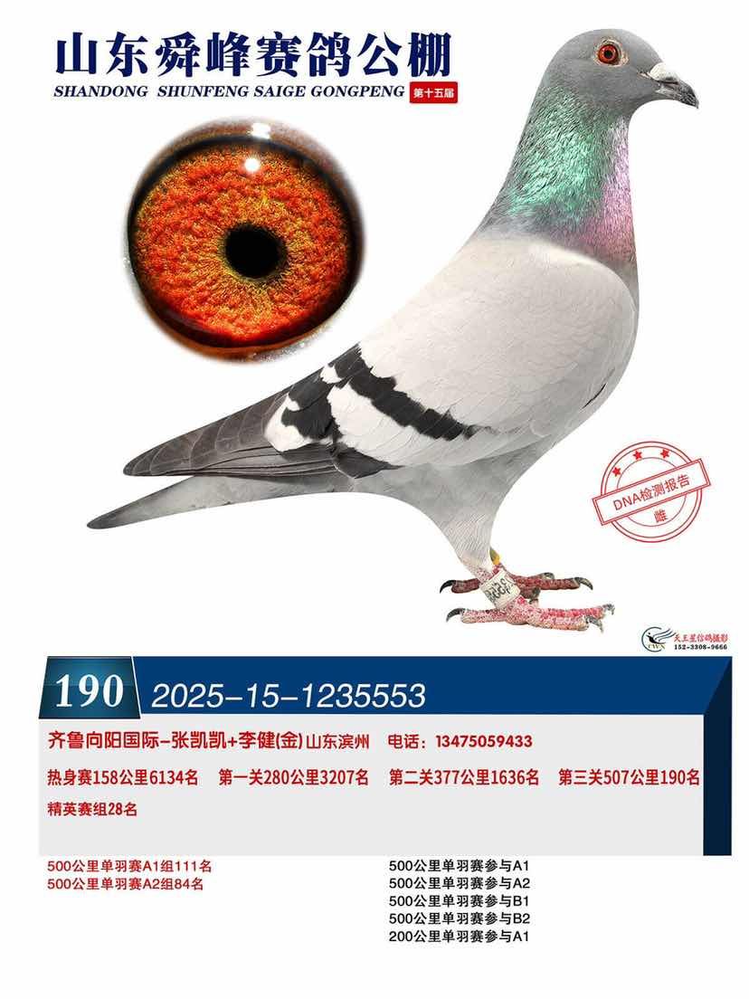 ˴�幫�����190������Ӣ��28��