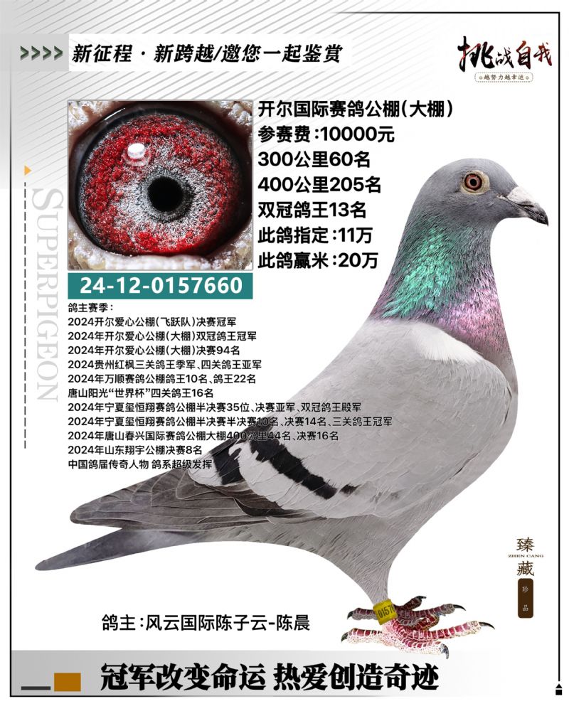 �����ָ�֧Ԯȫ������