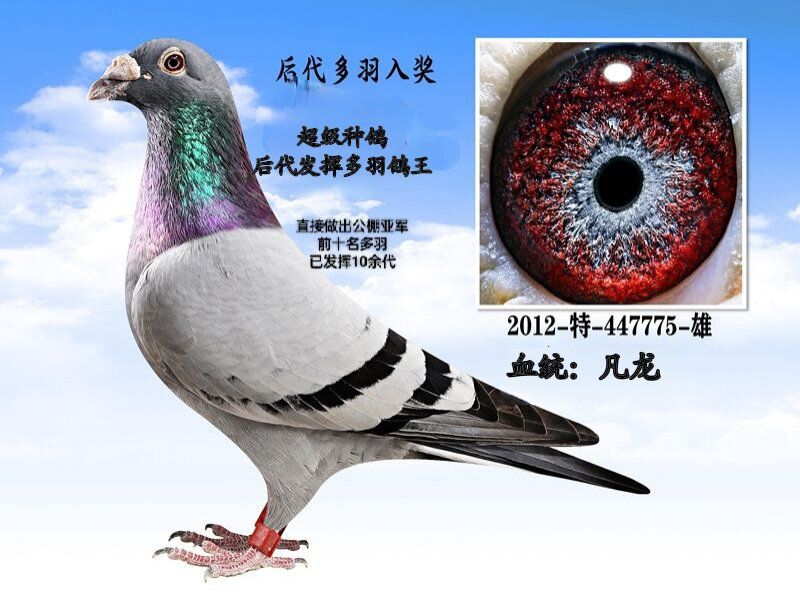 ���Ϸ�����