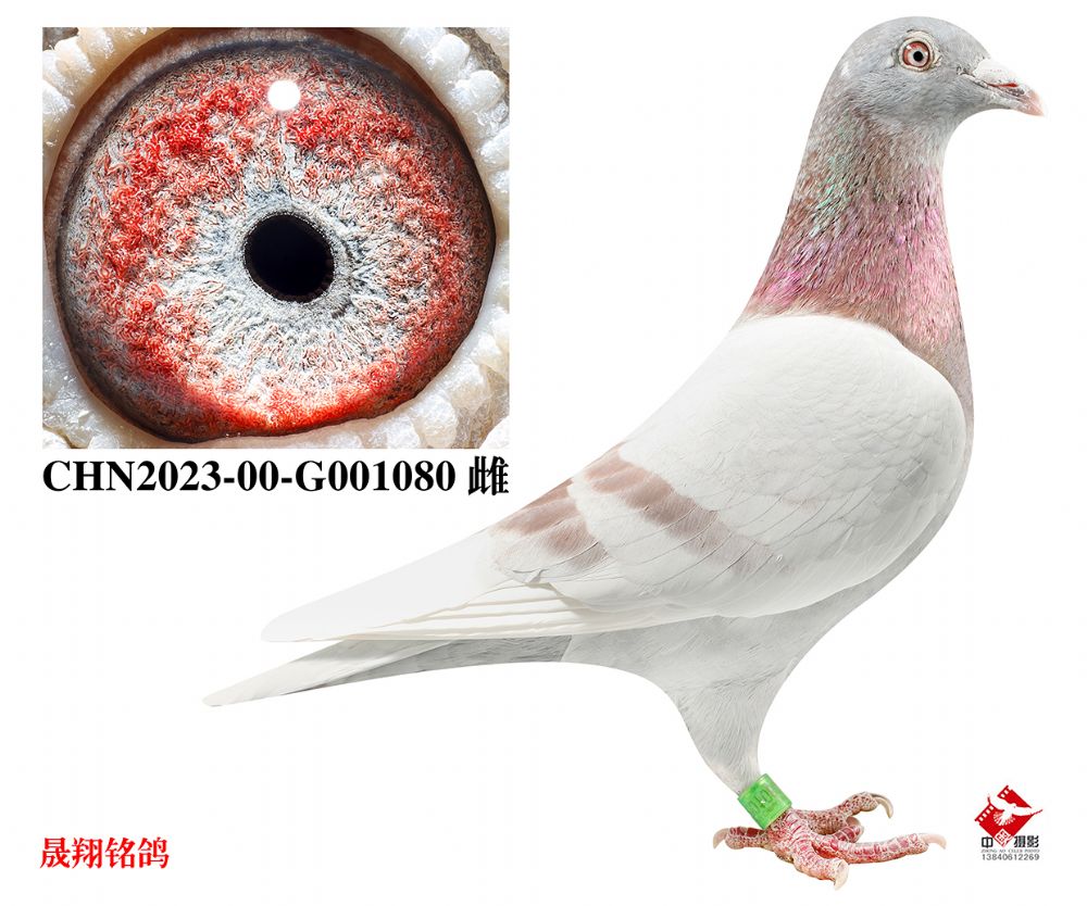 ���ž���19��