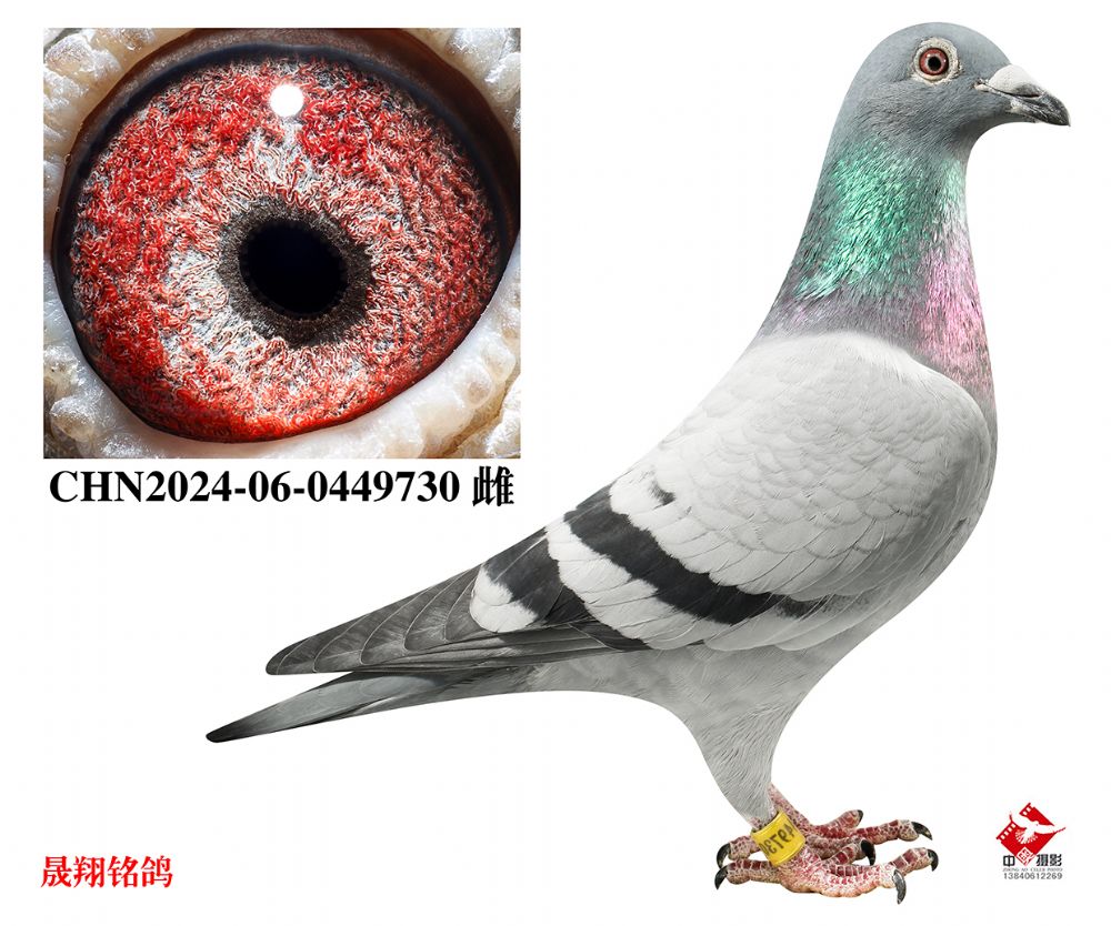 ����˳��.����14��