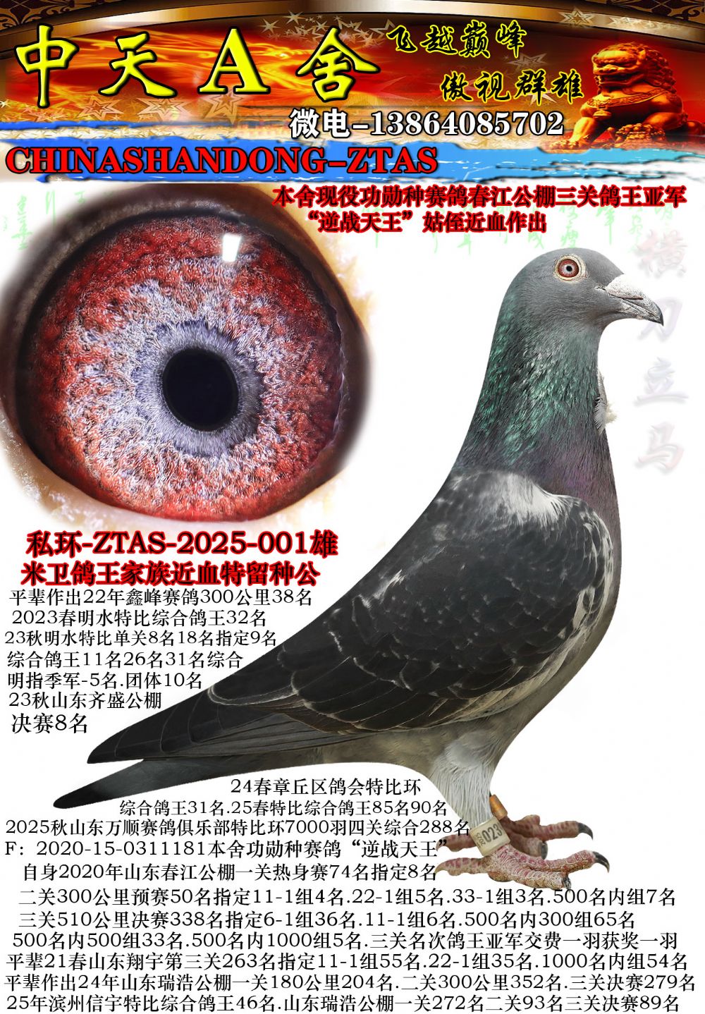 ����������Ѫֱ��