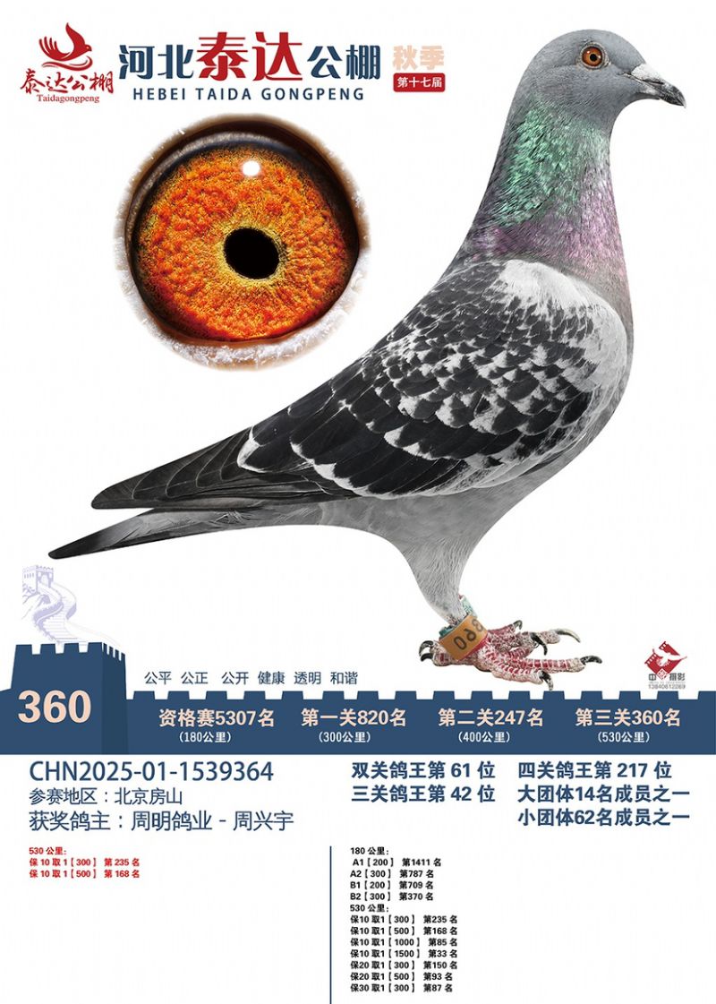 �ӱ�̩�﹫�����360��