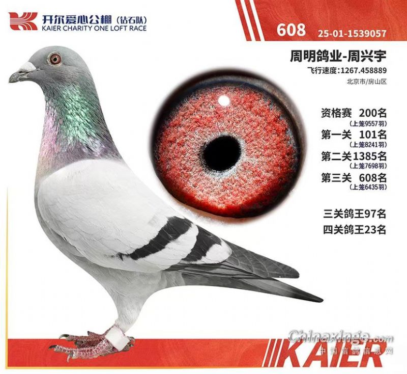 �������Ĺ������608��