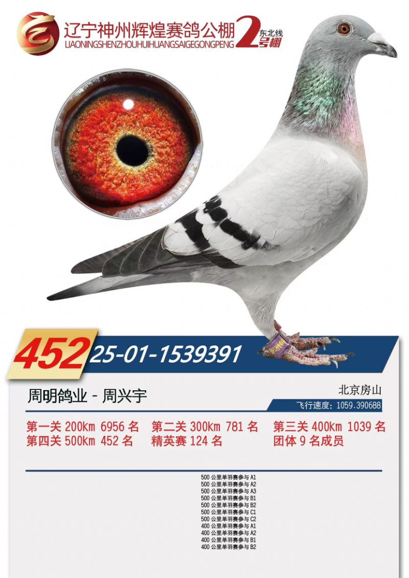 �������ݻԻ͹������452��