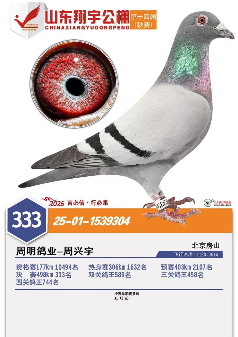 ɽ����������333��