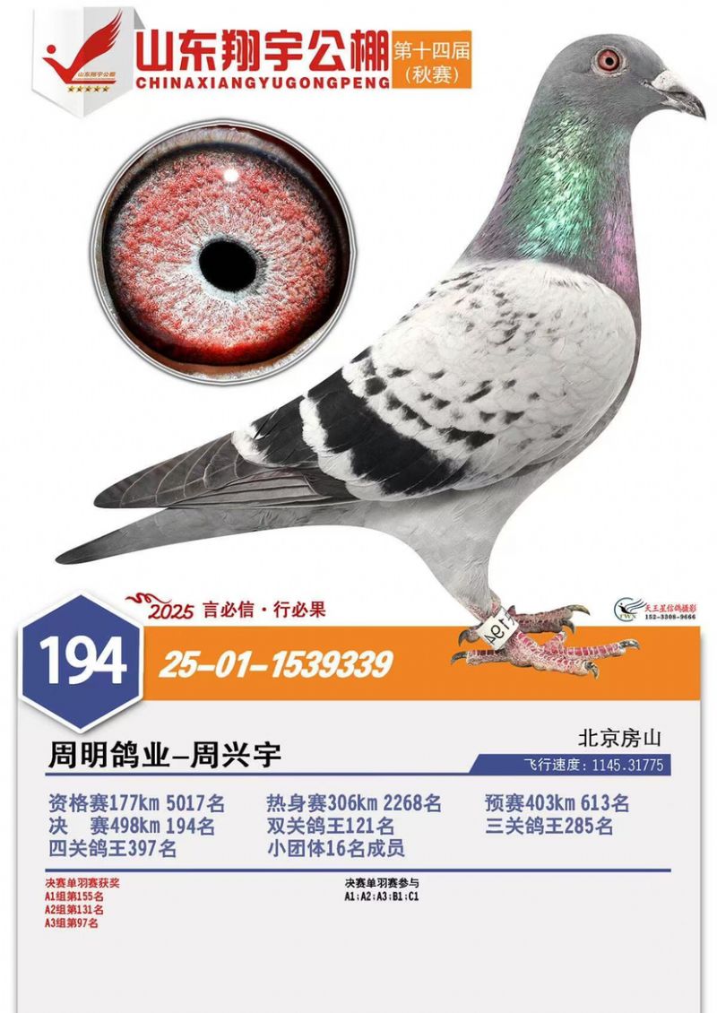 ɽ����������194��