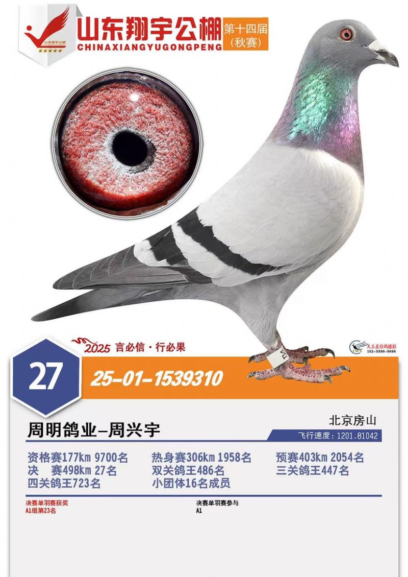 ɽ����������27��