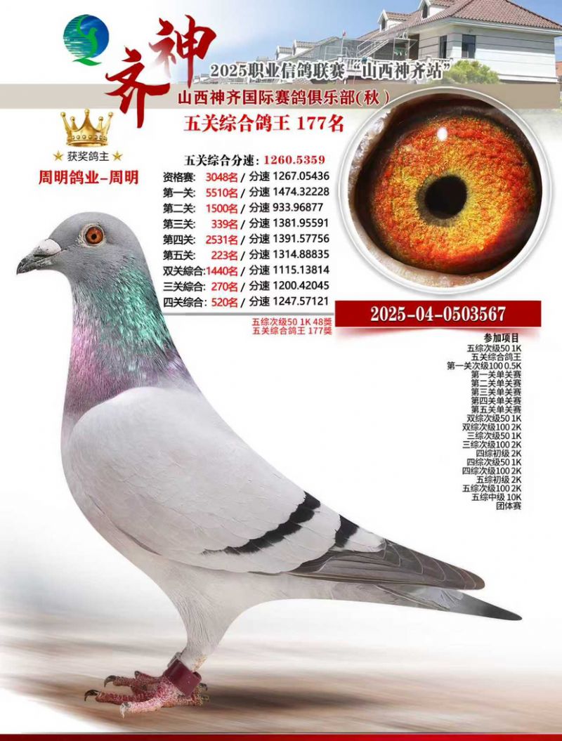 ɽ���������������ֲ���ظ���177��