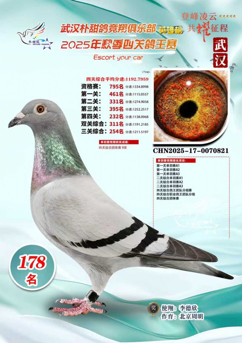 �人����뾺����ֲ��Ĺظ���178��