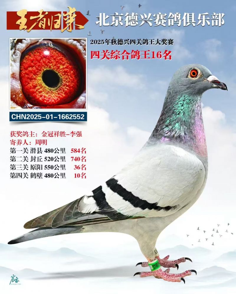 ��������������ֲ��Ĺظ���16��