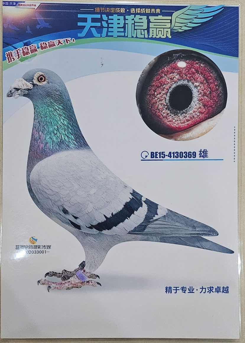 ���׵�.����ԭ�����о�