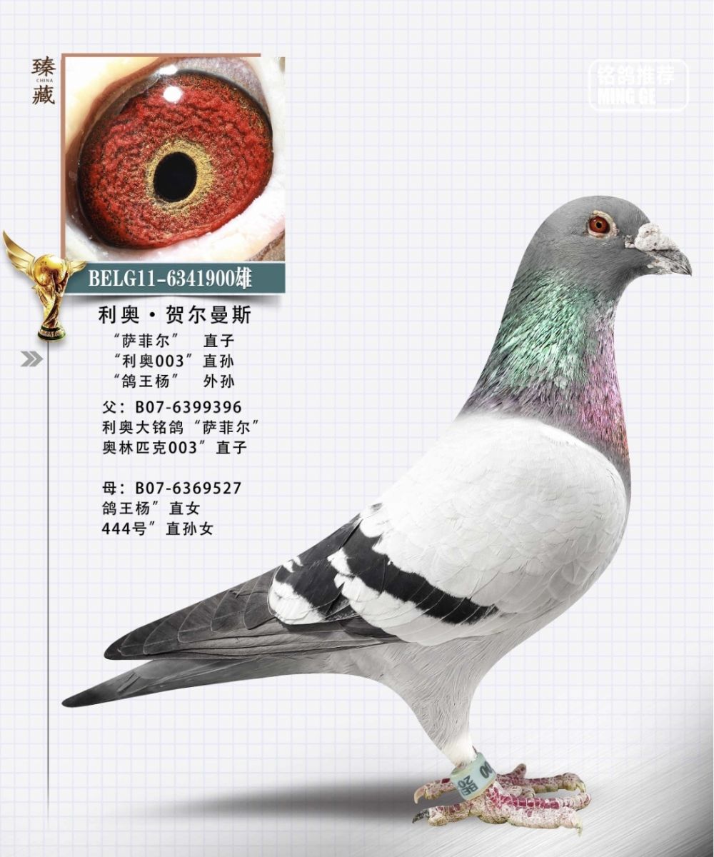 �����ƶ���ֱ��