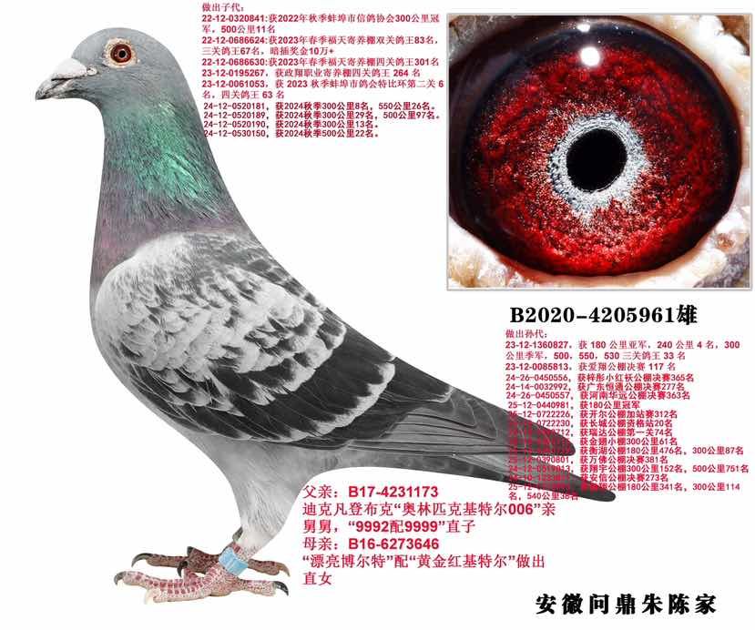 ���ǲ����ʶ�961