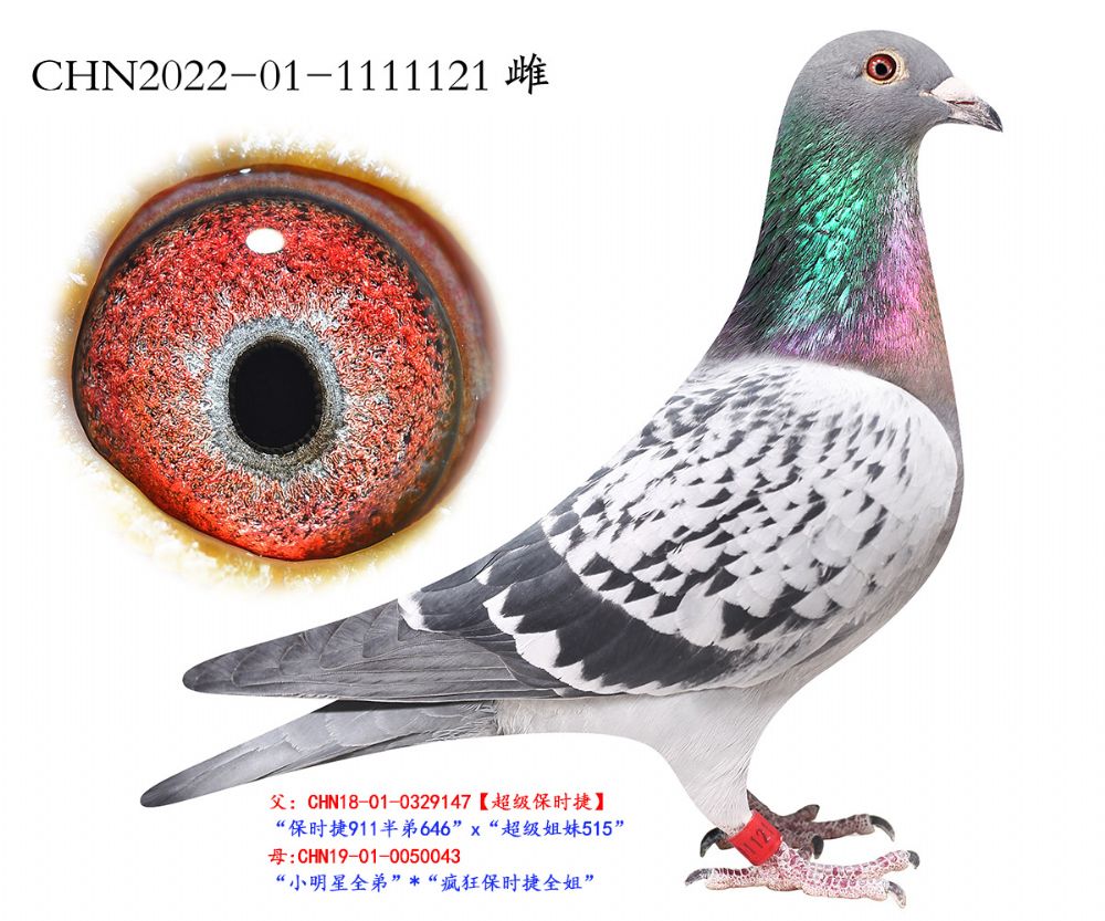 ��ʱ��.1111121