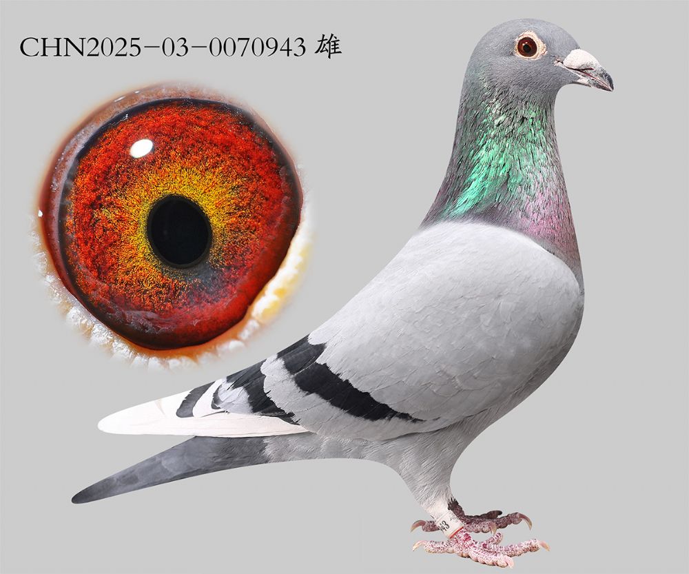 ����x����x��ʱ��.0070943