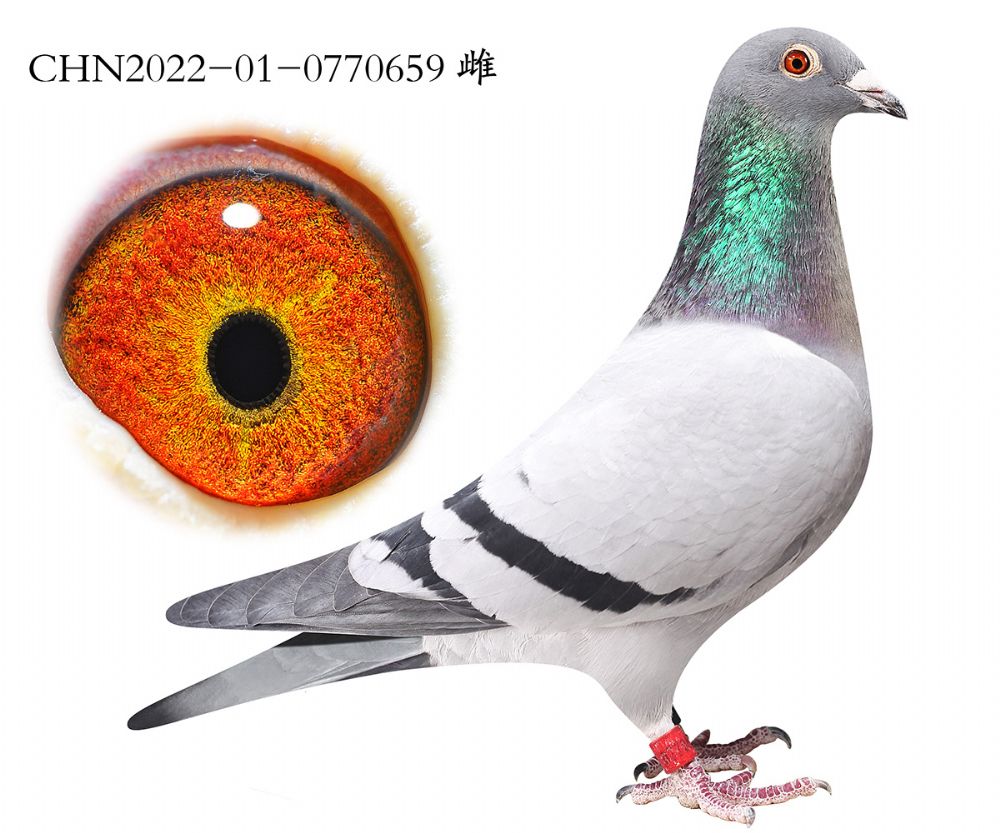 ������ʱ��ֱŮ.0770659