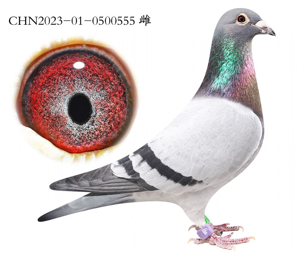 ����x����x��ʱ��.0500555