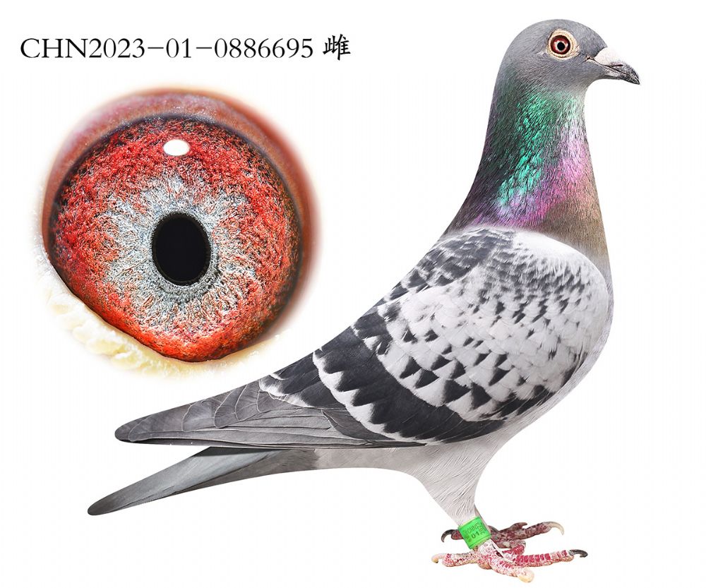 ����x����x��ʱ��.0886695