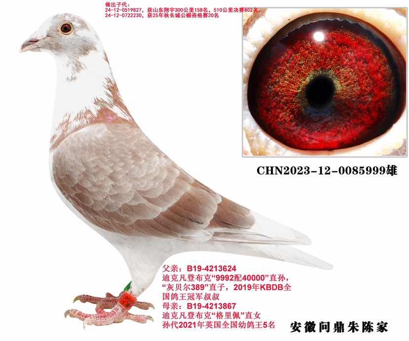 ���ǲ��� 389 ֱ�� 5999