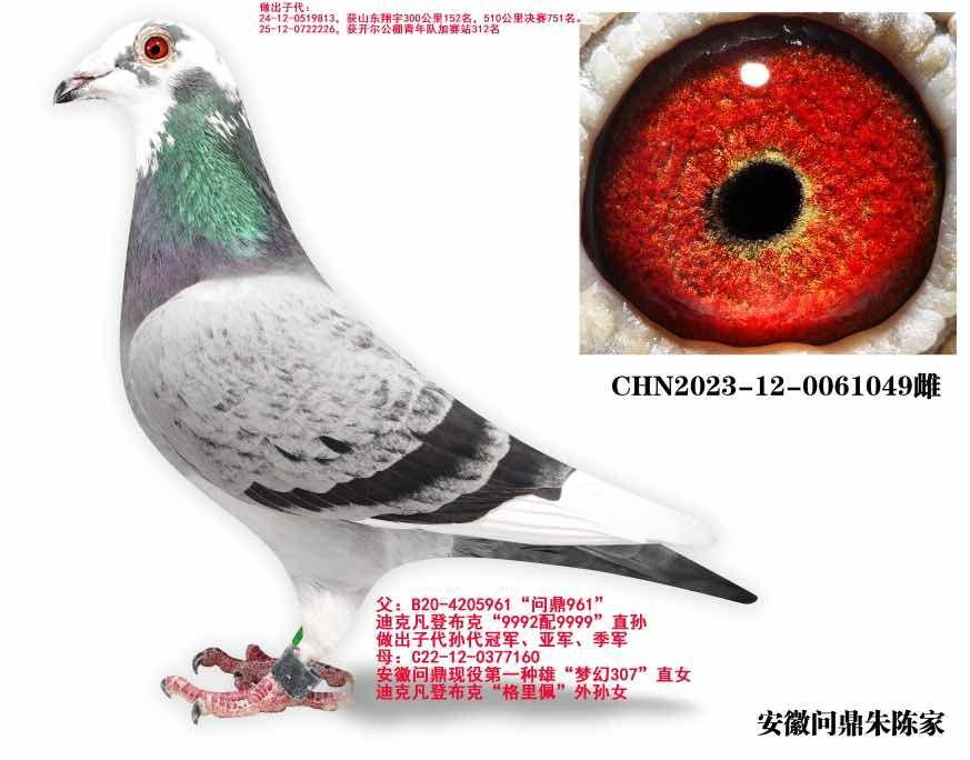 ���ǲ��� 961 ֱŮ 049