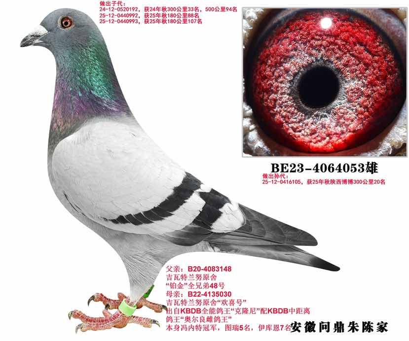 ��������Ŭ 053